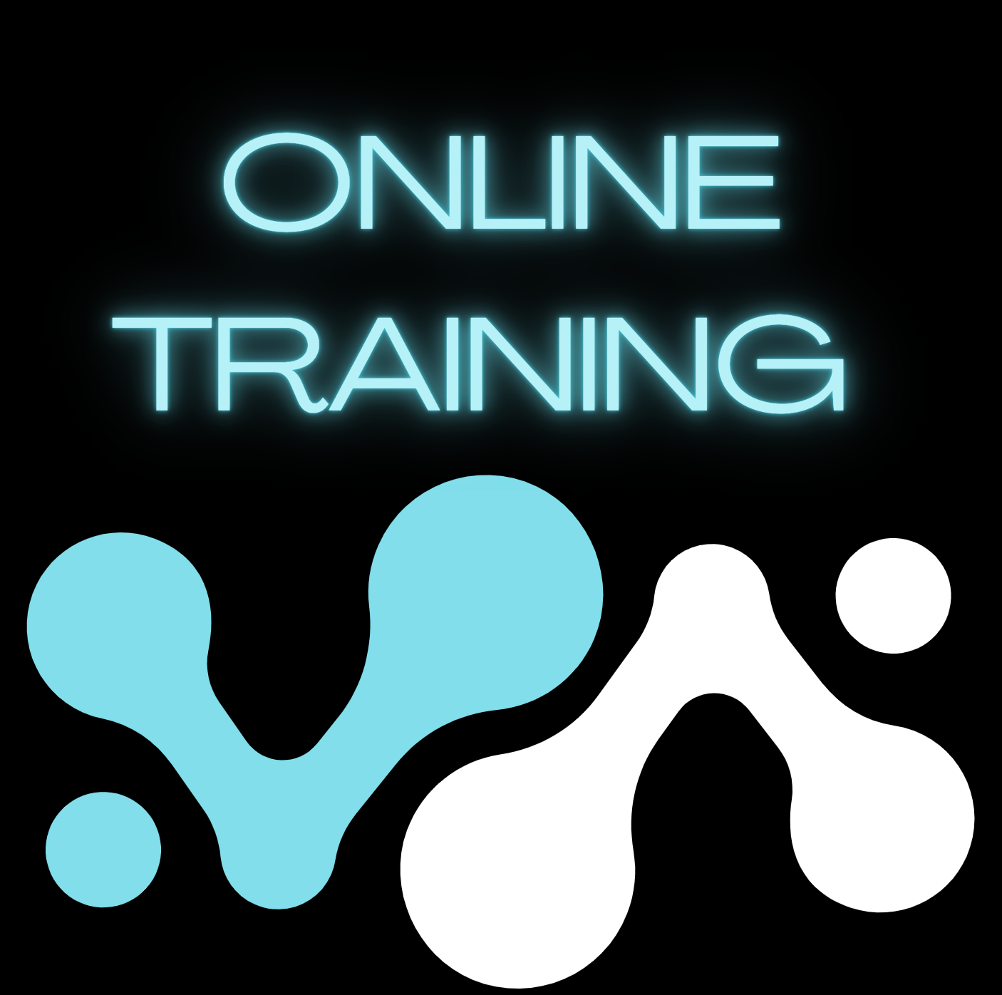 Online Training